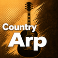 Country_Arp_Sync_4-4_I-V-vi-V_90bpm_V1